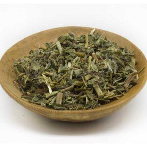 Goats Rue (Galega officinalis)
