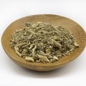 Horehound - Black (Ballota nigra)
