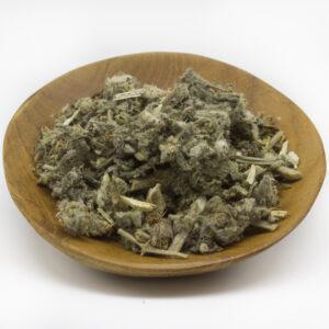 Horehound - White (Marrubium vulgare)
