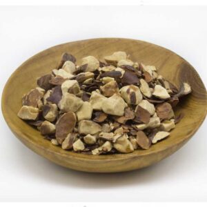 Horse Chestnuts (Aesculus hippocastanum)