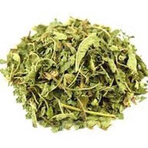 Lemon Verbena (Alousia triphylla)