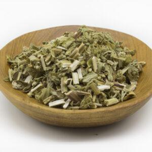Motherwort (Leonurus cardiac)
