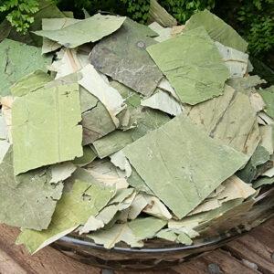 Lotus Leaf Tea (Nelumbo nucifera)