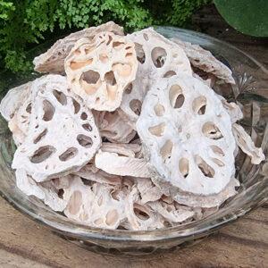Lotus Roots (Nelumbo nucifera) - Dehydrated