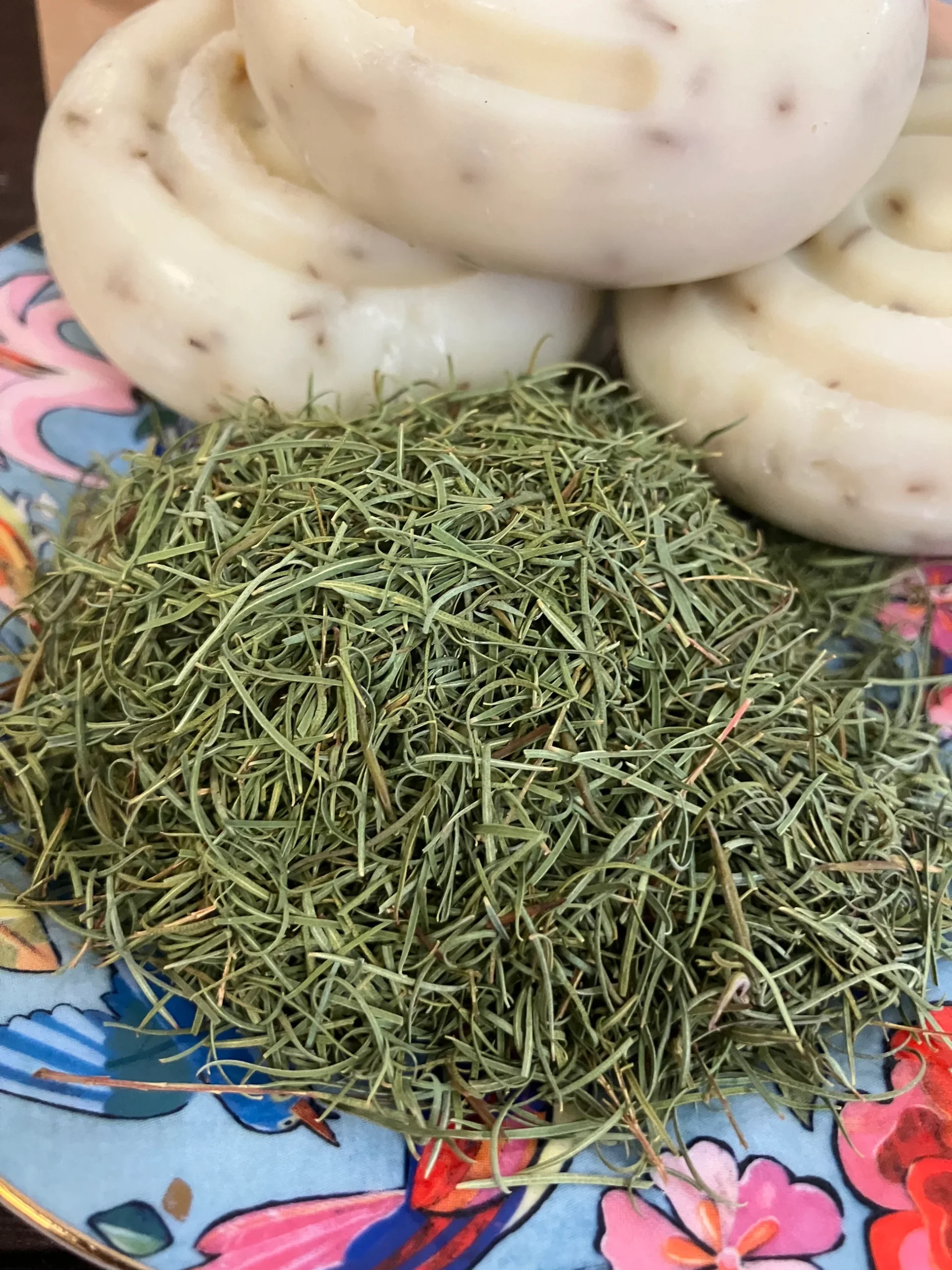 Tea tree (Melaleuca alternifolia)