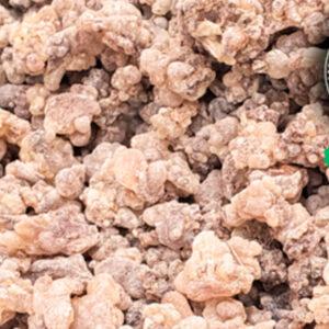 Sacred Frankincense - Fosos Dark Hojari (Boswellia Sacra) (Copy)